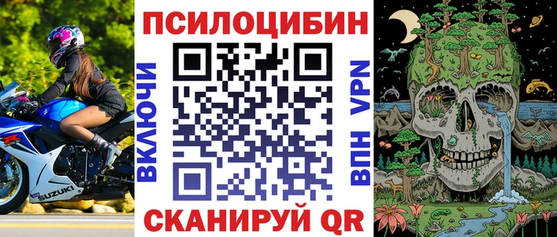Галлюциногенные грибы прущие грибы  закладка  Пятигорск 