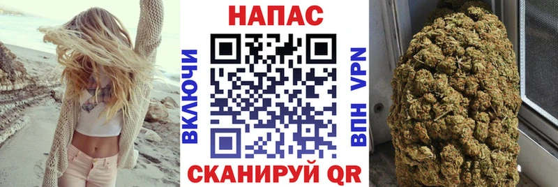 МАРИХУАНА сатива Пятигорск